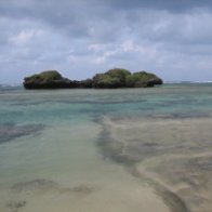 西表島　星の砂浜