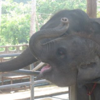 thai2015-07-02