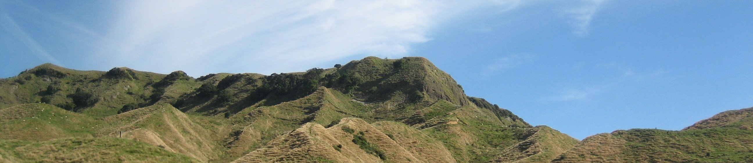 New Zealand North Island West Coast Travel banner image