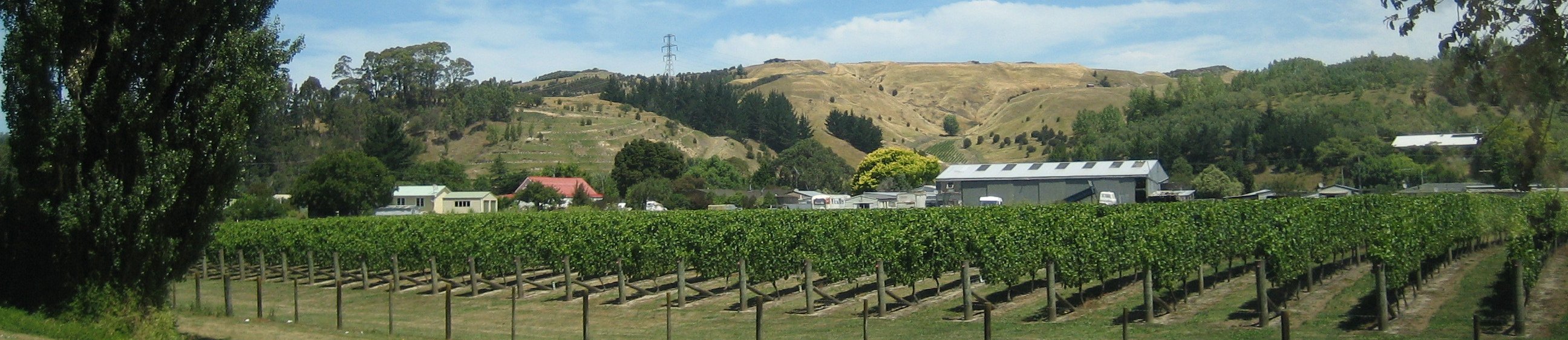 New Zealand North Island East Coast Travel banner image