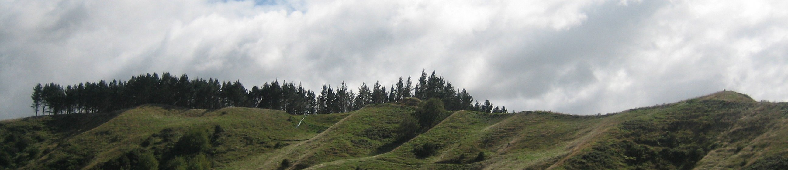 New Zealand North Island West Coast Travel banner image